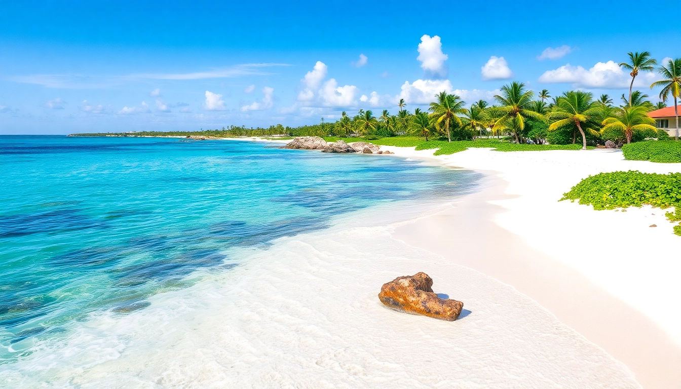 Descubre Aruba Colombia: Tu Destino Ideal para Vacaciones Inolvidables